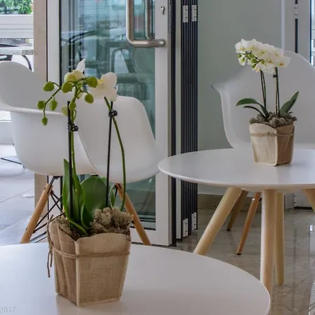 Dolomiti Hotell 3*